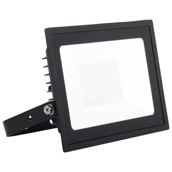 Ansell 10w led online floodlight with pir