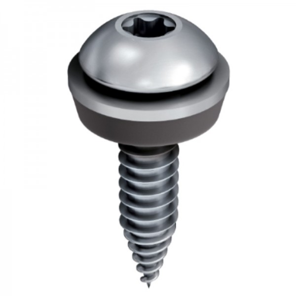 Solfit SSDF SS Torx (Ejot) Screw (25mm x 5.5mm)