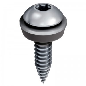 Solfit SSDF SS Torx (Ejot) Screw (25mm x 5.5mm)