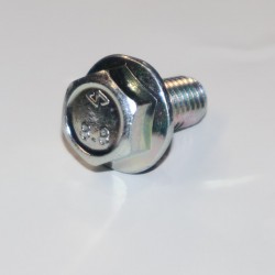 GSE ART106569 Ground Mount EVOLUTION M8x20 Screw