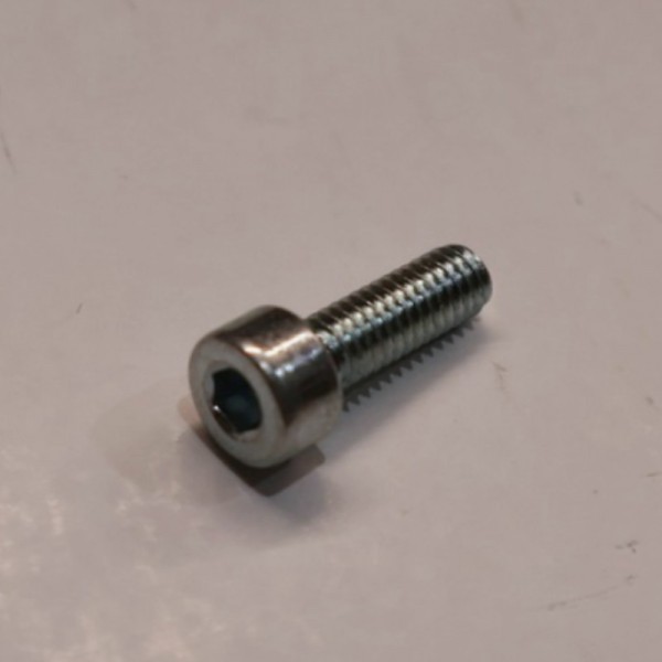 GSE ART106541 Ground Mount EVOLUTION M4x12 Screw
