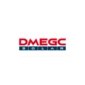 DMEGC